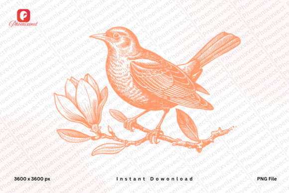 Download Vintage Hand Drawn Mockingbird PNG - Mock Collection